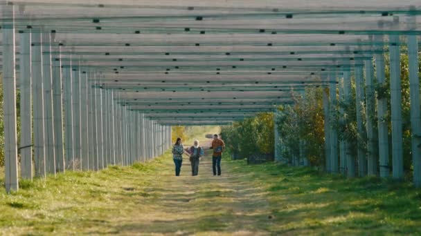 Concepto de la industria agrícola en un gran huerto de manzanas moderno frente al viejo agricultor ambulante y su familia después de que terminan de recoger la cosecha de manzana que discuten juntos — Vídeo de stock