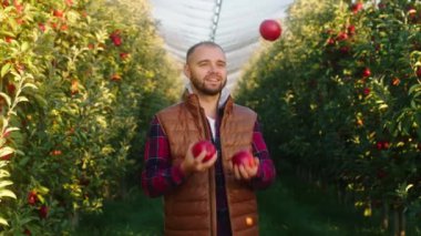 Kameranın önünde büyük elma bahçesinde güzel çiftçi genç adam ağaçtan ve ormandan taze taze kırmızı elmalar al.