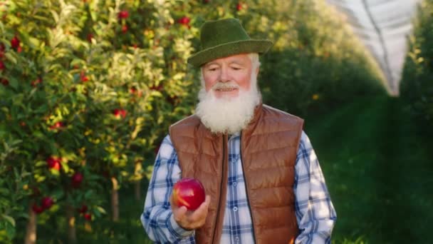 Duży sad jabłkowy dobrze wyglądający stary rolnik trzymający czerwone organiczne jabłko na drzewie i patrzący prosto w kamerę — Wideo stockowe