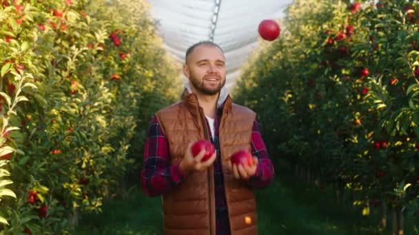 在大苹果园的摄像机前，漂亮的农民年轻人从树上取出一些新鲜成熟的红苹果，和他们一起在丛林中散步 — 图库视频影像