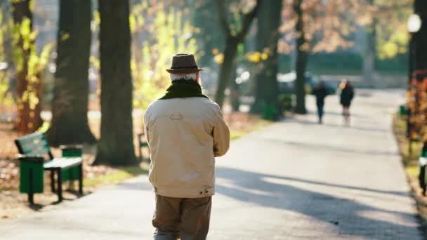 Walking down the park in the late autumn day old man in a vintage hat very charismatic — Stock Video