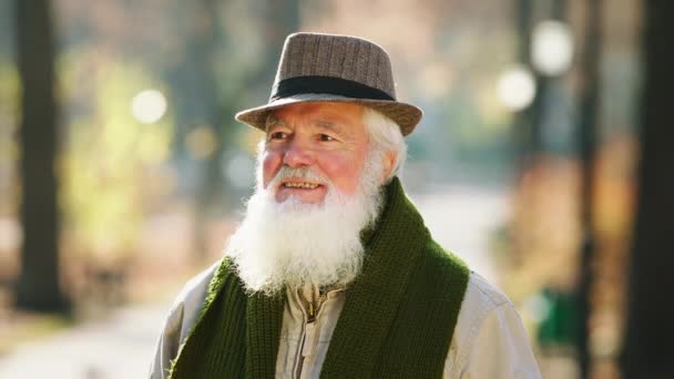 Porträt eines alten Mannes gut aussehend posiert vor der Kamera in der Mitte des Parks hat er eine gute Laune — Stockvideo