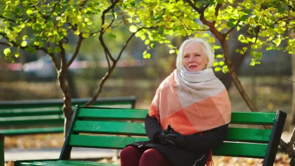 Delante de la cámara, una hermosa anciana posando frente a la cámara mirando directamente, se sienta en la silla en medio del parque a finales del otoño. Disparo en ARRI Alexa Mini. — Vídeo de stock