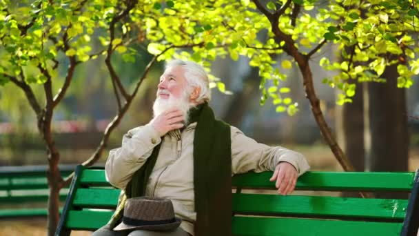 Voor de camera heeft de oude man heel charismatisch een wandeling in het midden van het park in de herfst dag hij analyseert de bomen heel opgewonden — Stockvideo