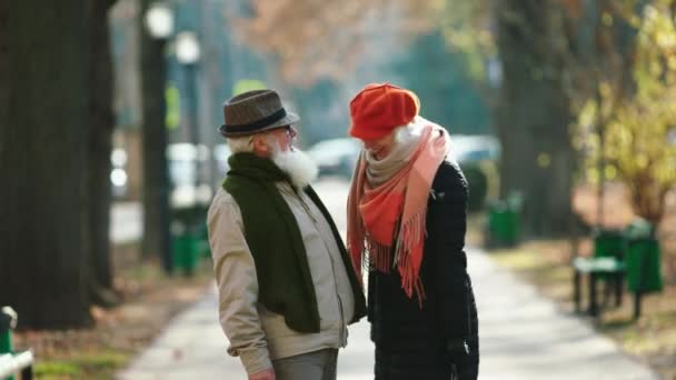 Ενθουσιασμένοι και ευτυχισμένοι ηλικιωμένοι ζευγάρι πολύ ρομαντικό έχουν μια βόλτα μέσα από το πάρκο που στέκεται μπροστά από την κάμερα και συζητώντας μαζί και χαμογελώντας μεγάλα — Αρχείο Βίντεο