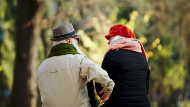 Parkın ortasında yaşlı ve romantik bir çift birbirine sarılıyor ve doğada birlikte vakit geçirip arkadan video çekiyorlar. — Stok video