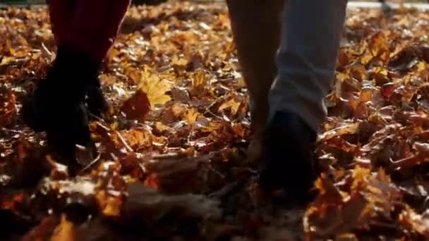 W środku parku późną jesienią zbliżenie do aparatu rejestrującego szczegóły chodzenia nogami przez liście pomarańczy — Wideo stockowe