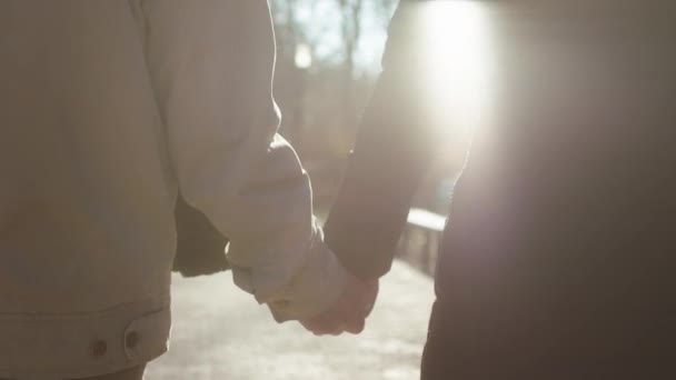 Szczegóły nagrywania filmu starszej pary spacerującej razem w parku trzymającej się za ręce. — Wideo stockowe