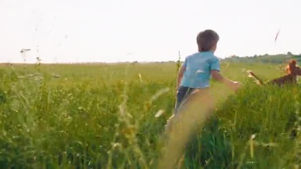 At nature in the middle of green field charismatic small cute boy run after his small dog he are happy and excited playing with his animal friend — Stockvideo