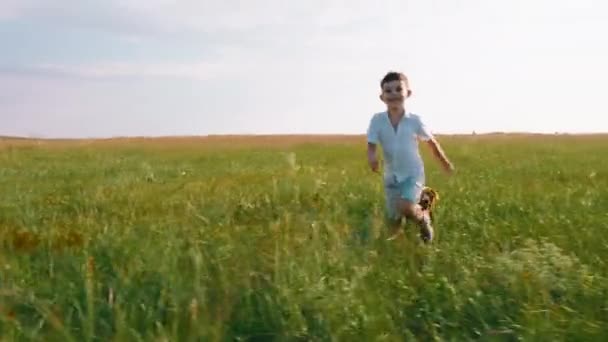 Mutlu ve gülümseyen koca bir çocuk. Altı yaşında. Küçük sevimli köpeği İngiliz cocker spanyel ile kameranın önünde büyük çim tarlasından koşuyor. — Stok video