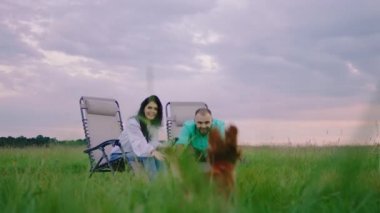 Piknik yapan güzel çiftin muhteşem gökyüzü manzarası. Şirin küçük köpekleri İngiliz cocker spanyel ile oynuyorlar. Tarlanın ortasında doğanın tadını çıkarıyorlar. ARRI Alexa Mini 'de çekilen.