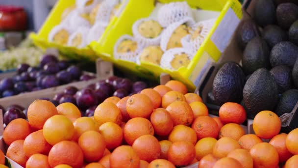 W warzywach eko-sklep pani odebrać kilka świeżych pomarańczy koncepcja świeżych zbiorów i przemysłu rolnego — Wideo stockowe