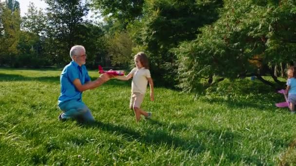 In a sunny day in the park charismatic old grandfather and his nephews playing all together through the grass with the airplanes — Stockvideo
