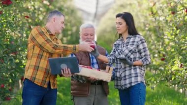 Organik meyve ve gıda konsepti. Yaşlı çiftçi ve ailesi elma bahçesinin ortasında toplanmış elma hasadını analiz ediyor ve dizüstü bilgisayar ve akıllı telefonu kullanarak bazı istatistikler yapıyor.