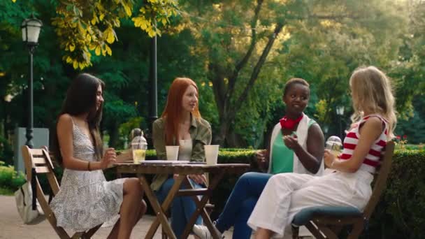 Beautiful and young females multiracial have a meeting at the cafe in the middle of the park they enjoy the time together speaking with each other — Wideo stockowe