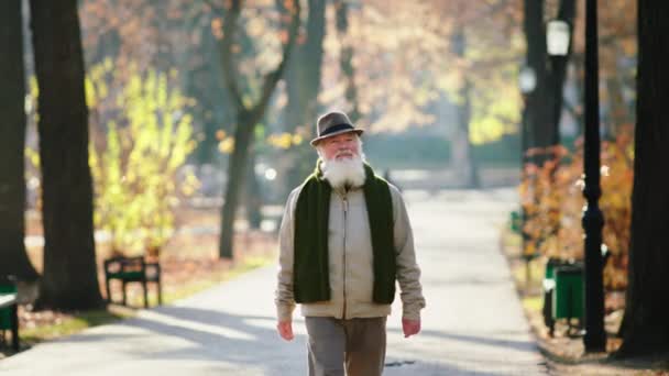 In front of the camera walking happy old man have a walk in the middle of the park in a late autumn day he enjoy the fresh air — ストック動画