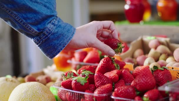 Friss betakarítási koncepció a zöldségbolti vásárlónál vegyél friss epret a dobozból. — Stock videók