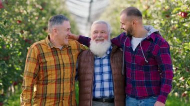 Elma bahçesinin ortasında karizmatik yaşlı çiftçi ve iki oğlu heyecanlı bir şekilde birbirlerine gülümserken bittikten sonra kameranın önünde durup olgun elmaları toplamak için birbirlerine sarılıyorlar.