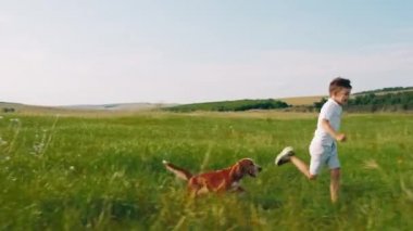 Gülümseyen sevimli bir çocuk ve en iyi arkadaşı İngiliz cocker spanyel yeşil alanın ortasında doğada birlikte koşup oynuyorlar. ARRI Alexa Mini 'de çekilen.