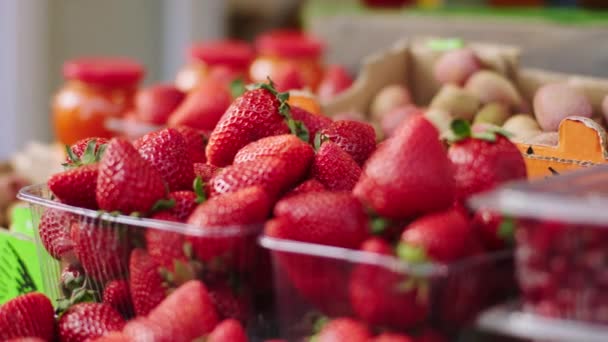 Fechar-se para a câmera na loja agrícola fazendo vídeo de um morango fresco no conceito de caixa de eco frutas — Vídeo de Stock