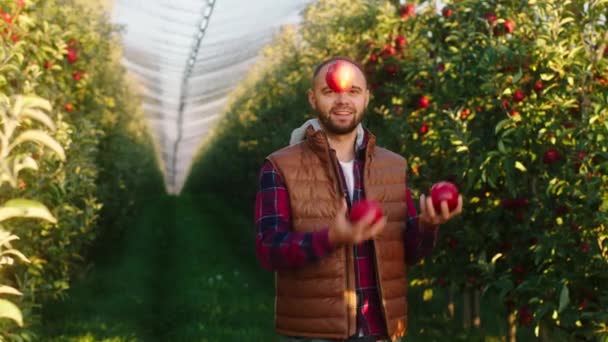 I en solig da i ekologiskt äpple fruktträdgård karismatisk ung bonde man ta några röda mogna äpplen och leka med dem framför kameran han ler stora — Stockvideo