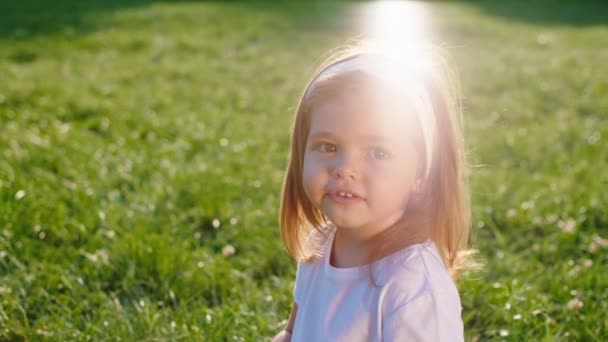 화창 한 날큰 귀엽고 작은 소녀를 카메라 앞에서 웃으며 풀 속에 앉아 있는 것을 보며 행복해 하고 있습니다 — 비디오