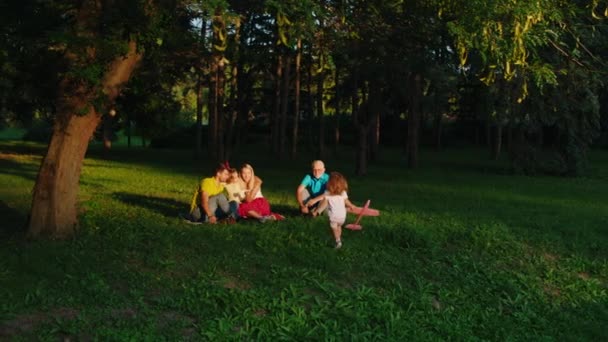 Grande tempo in famiglia nel parco carismatici bambini carini che giocano insieme ai loro genitori e nonno mentre si siedono sull'erba. Girato su ARRI Alexa Mini. — Video Stock