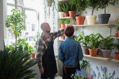 Çiçekçi dükkanında çalışan çiftlerin önünde çiçekleri saksıya birlikte ekerler. Gülümserler ve sürecin tadını çıkarırlar.