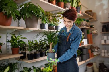 Gülümseyen genç girişimci çocuk odasında çalışıyor serada çalışıyor parlayan bir güneş arkaplanıyla satılık saksı bitkileriyle ilgileniyor