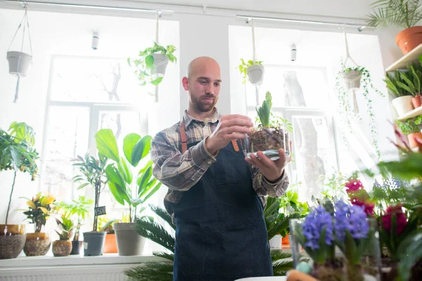 Çiçekçide çiçekçi çok yakışıklı bir adam dükkânda çiçekçi konseptine bakıyor.