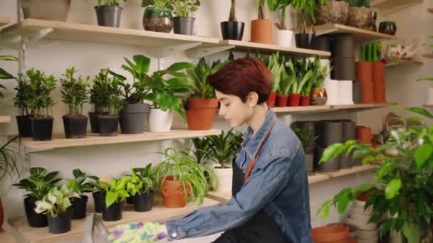Bloemist concept wandelen door de bloemen winkel de ondernemer vrouw met kort haar ze werkt aan haar eigen bloemenwinkel — Stockvideo