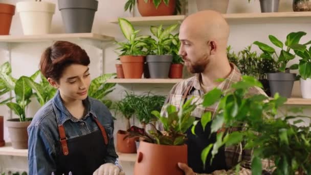 Kleines Geschäft und Blumengeschäft Konzept im Blumenladen zwei Floristen Frau und Mann sehr gut aussehende kümmern sich um Pflanzen aus dem Topf — Stockvideo