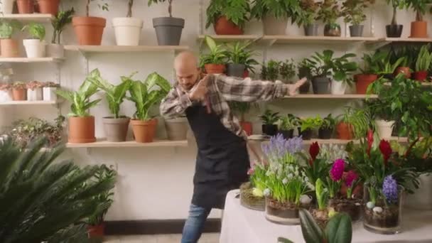 Dansen blij de eigenaar en ondernemer van de bloemenwinkel in zijn winkel door de planten en bloemen voor de camera — Stockvideo