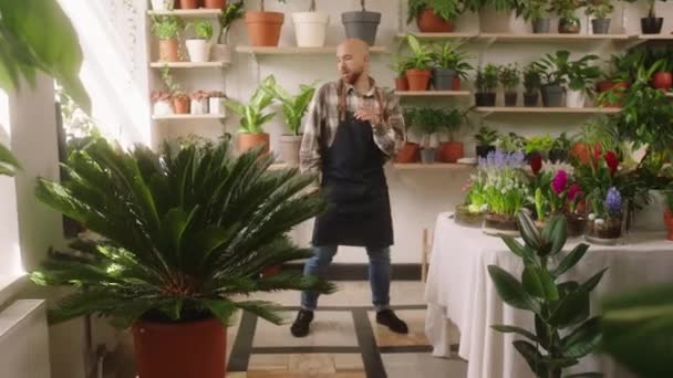 Gelukkige en opgewonden bloemist man dansen en bewegen grappig in de bloemenwinkel in de kas hij voelt zich energiek en gek op zijn werkplek — Stockvideo