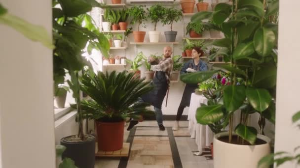 Caucasian looking man entrepreneur of floral store dancing together with shop assistant lady in front of the camera in the middle of the shop — Stock Video