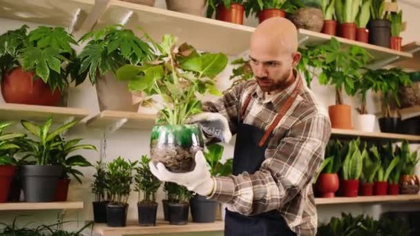 Caucasian man the entrepreneur of flower shop take some plants from the shop shelves and looking over the plants taking care — Video