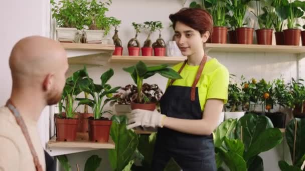 Çiçekçi dükkanının küçük işletmeci konseptinde dükkan sahibi çiçekçi bayanla sohbet eder. — Stok video