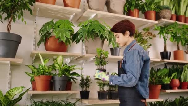 Good looking Caucasian female the florist take some small plants from the shop shelves and looking at the plant in front of the camera — Video