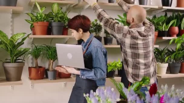 Florist lady and the shop assistant man together working they checking the inventory of flowers shop using the laptop — Video