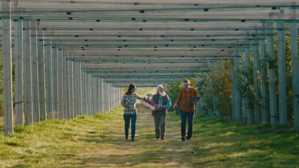 Велике відео про яблучний сад, що йде перед камерою один старий фермер і його син і дочка після того, як вони закінчать збирати урожай яблук. 4k — стокове відео