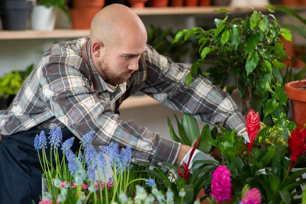 Karizmatik Kafkasyalı çiçekçiyle ilgilenen çiçekçiyle çiçekçide saksıyı yapan adam zevkle çalıştığı serada koruyucu eldiven takıyor. İş