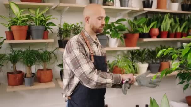 Belle Homme Caucasien Fleuriste Travaillant Boutique Fleurs Porte Ses Gants — Video