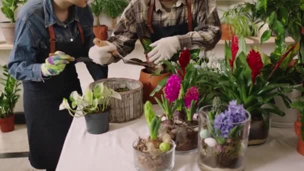 在相机前 一对夫妇在一家花店的家族企业工作 他们一起把花栽在锅子上 他们笑着享受这个过程 — 图库视频影像