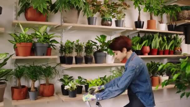 Çiçekçide Çalışan Güzel Bir Bayan Merdivende Dikiliyor Birkaç Bitki Alıyor — Stok video