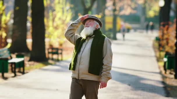 Anciano Pasea Por Parque Frente Cámara Analiza Naturaleza Alrededor Quita — Vídeos de Stock