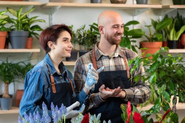 Aile mesleği. Genç çift kendi çiçekçilerinde birlikte çalışıyor. Çiçekleri saksıya birlikte ekiyorlar..