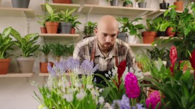 Çiçekçi dükkanında çiçekçi gibi çalışan çekici bir adam bitkiler çömleği oluşturduktan sonra dikkat eder koruyucu eldivenler giyer. ARRI Alexa Mini 'de çekilen