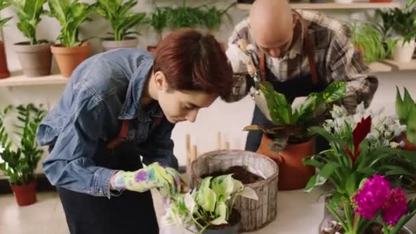 Bonito Florista Casal Trabalhando Juntos Loja Flores Eles Cuidam Depois — Vídeo de Stock