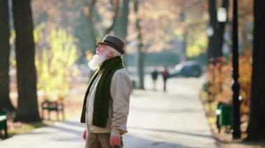 Charismatic old man in a cozy outfit have a walk down the park he analysing the trees and enjoy the time at nature in a the late autumn day. 4k
