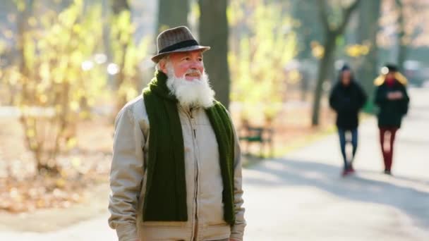 Large Park Good Looking Old Man Large Smile Have Walk — Stock Video